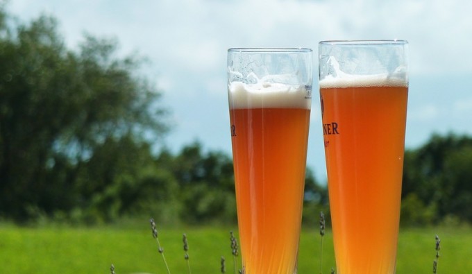 Brew Festival